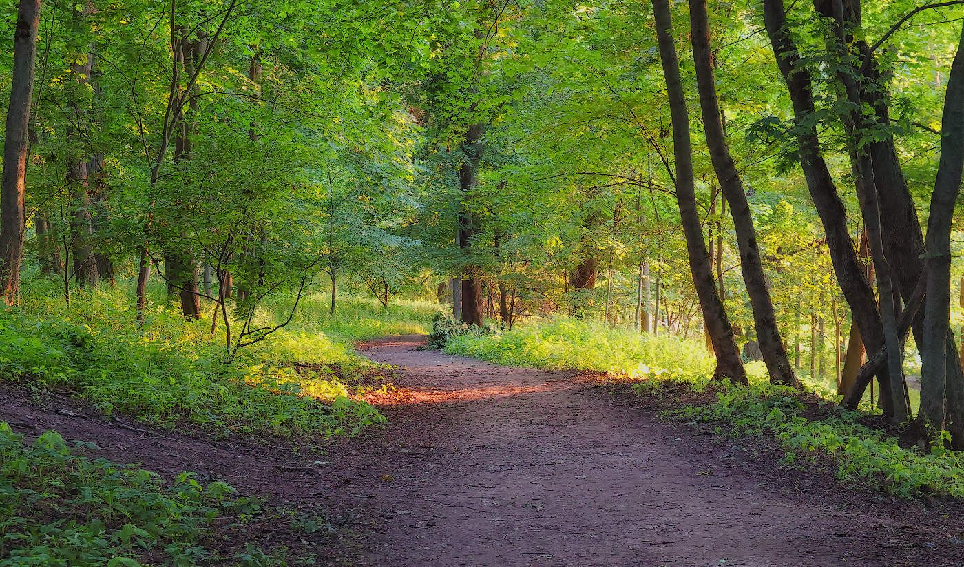 Тропинками старого парка