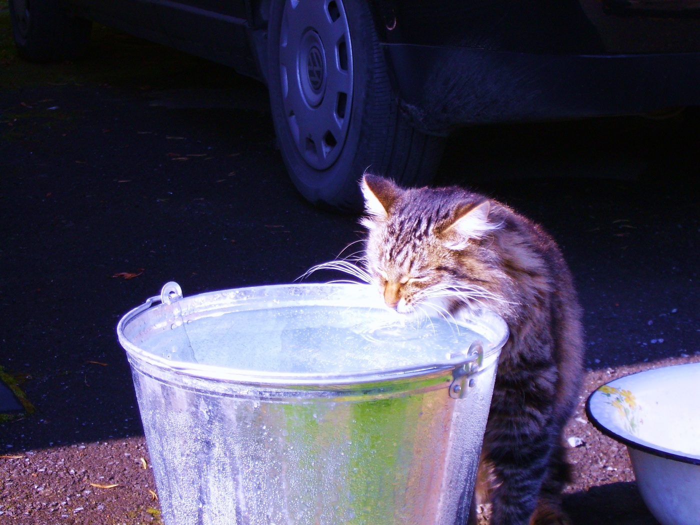 Утро субботы )