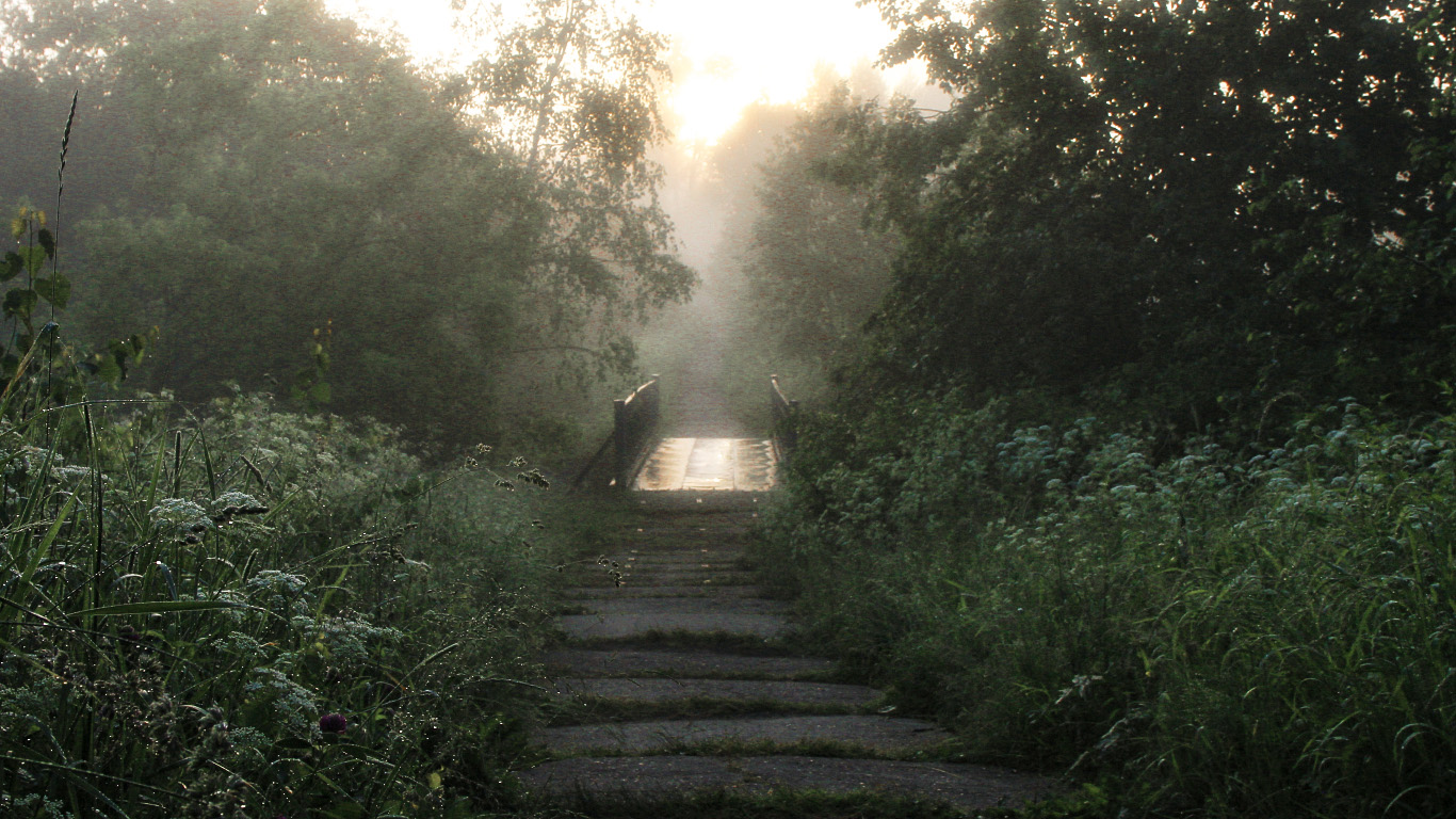Проблемы с фокусом