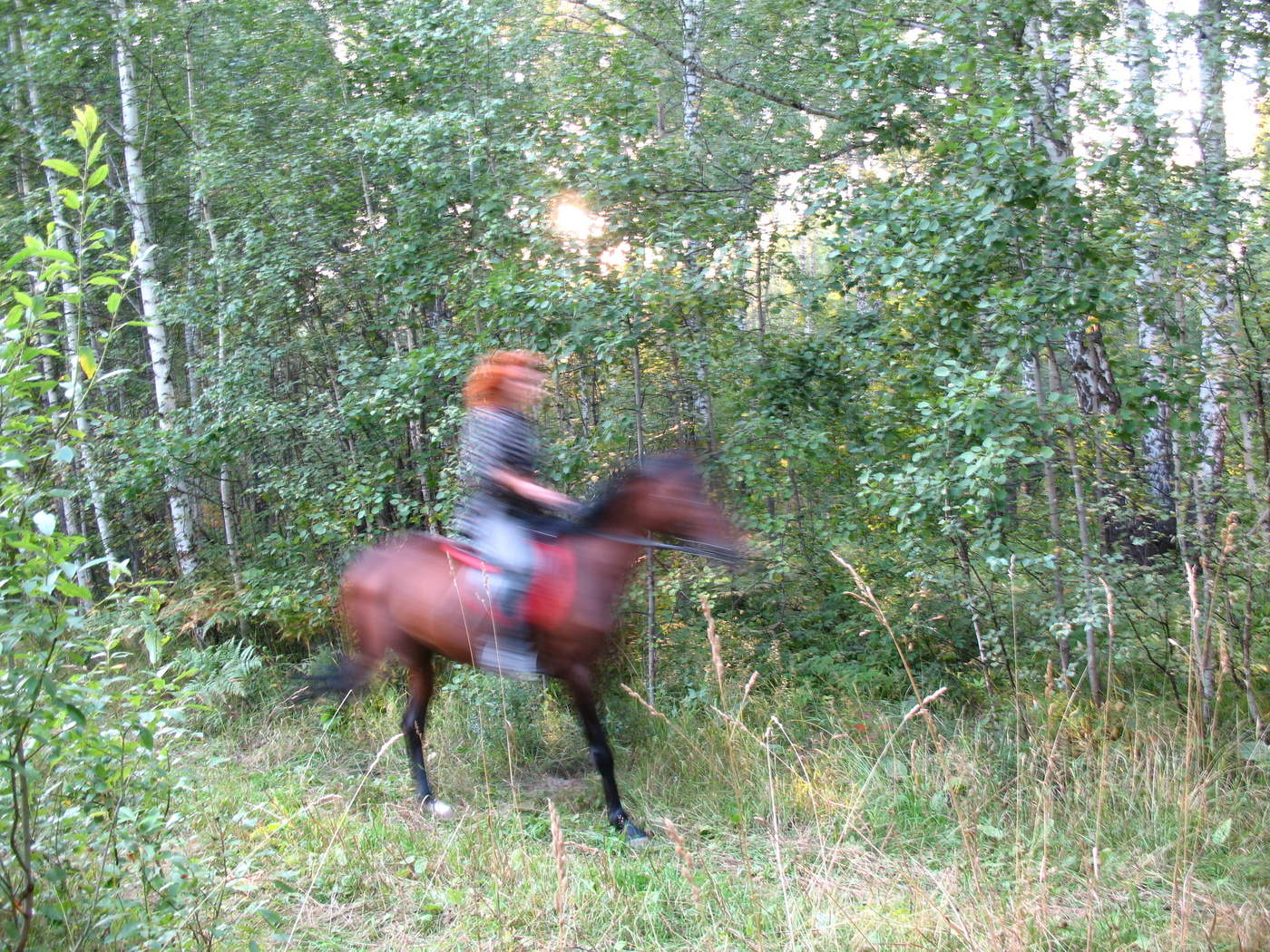 Проблемы с фокусом