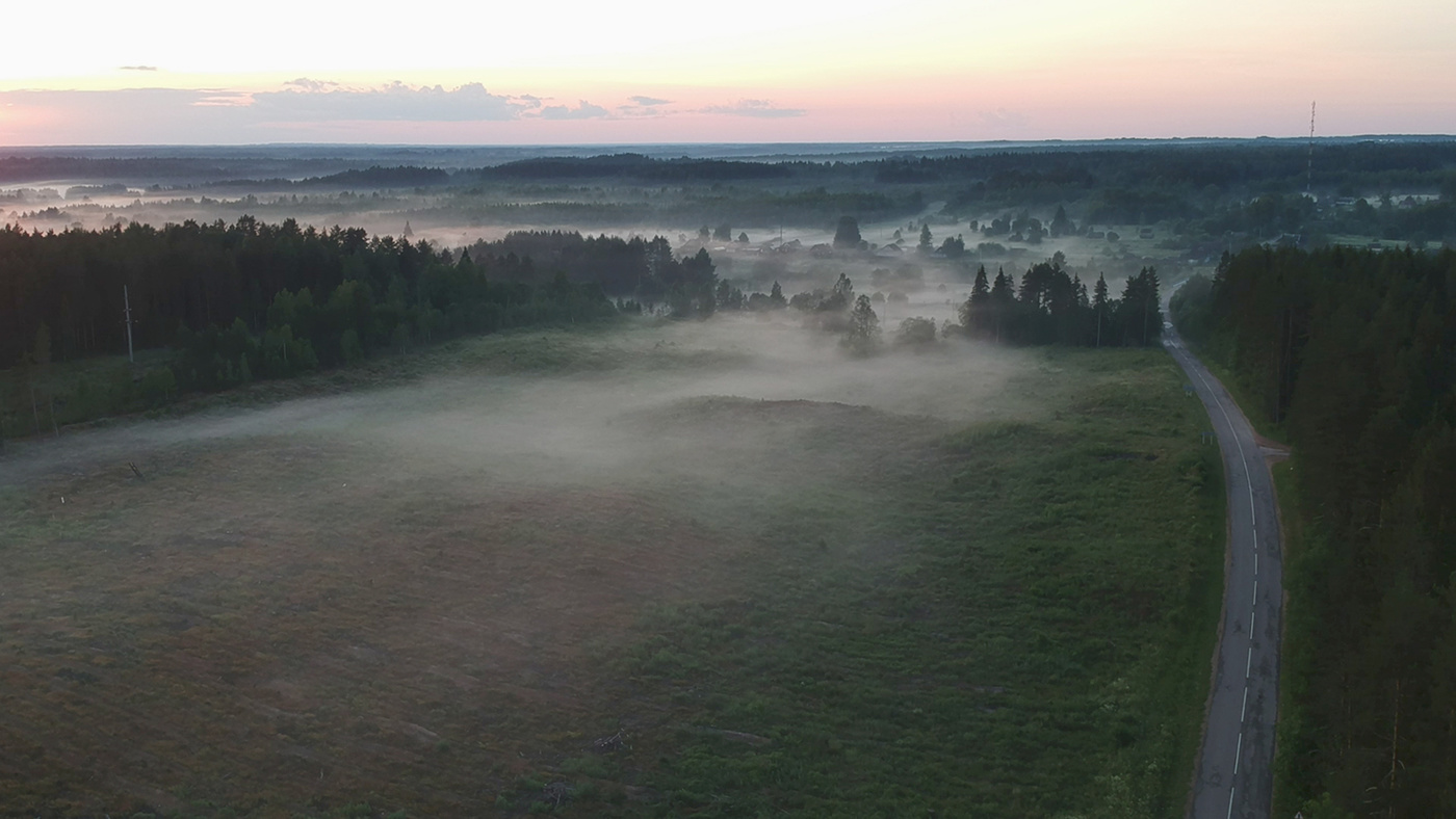 Оковецкий лес