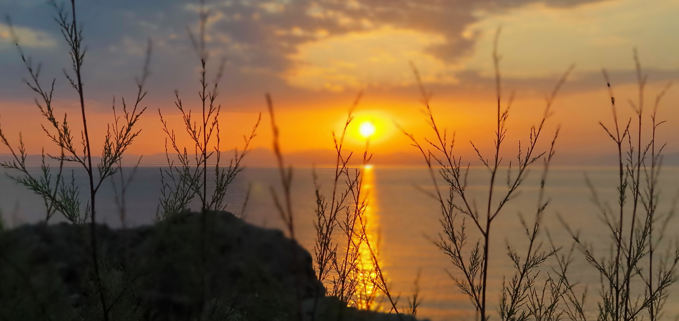 Проблемы с фокусом