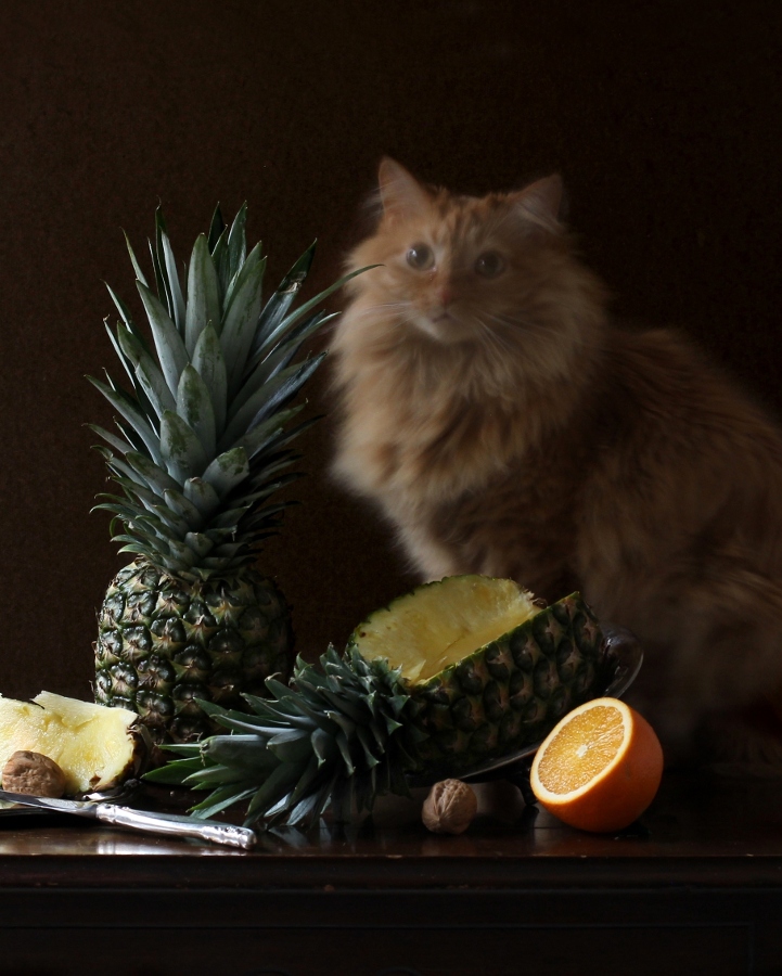 Проблемы с фокусом