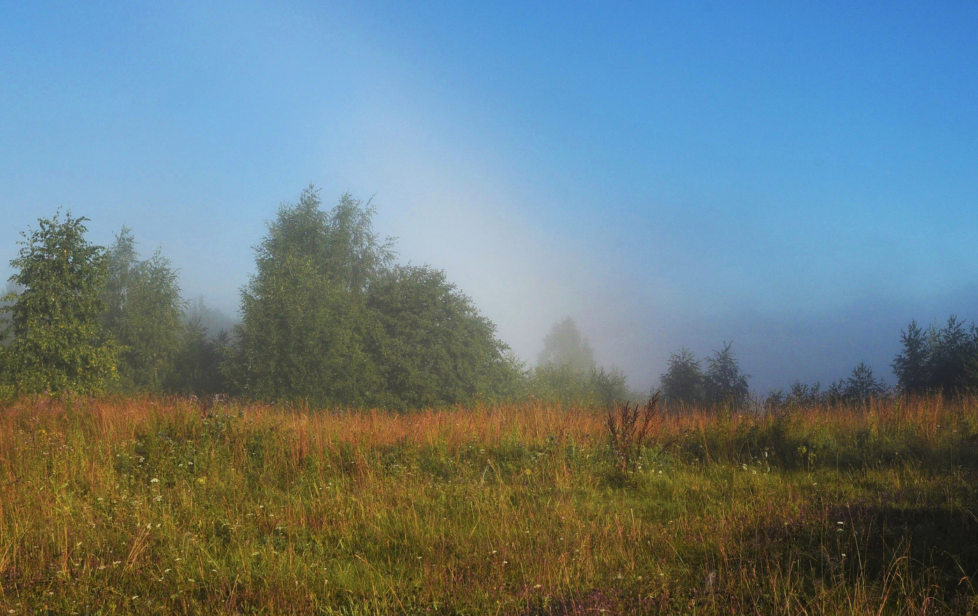 "Тот август был лиловым мотыльком ..."