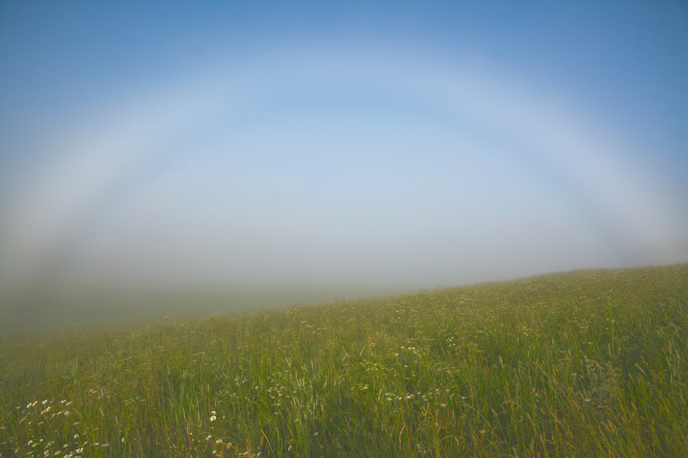 там за туманами...