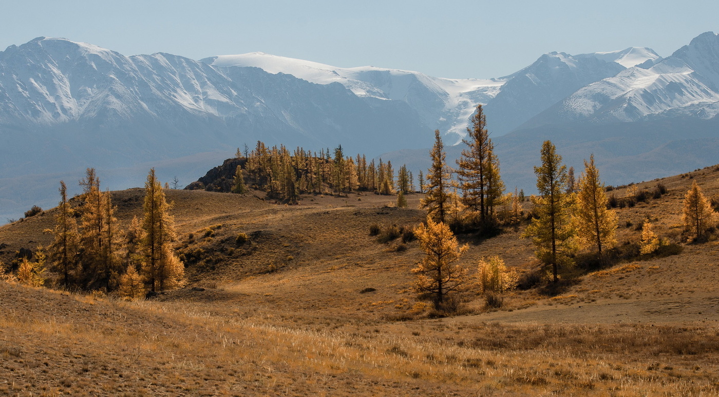 Алтайская осень.