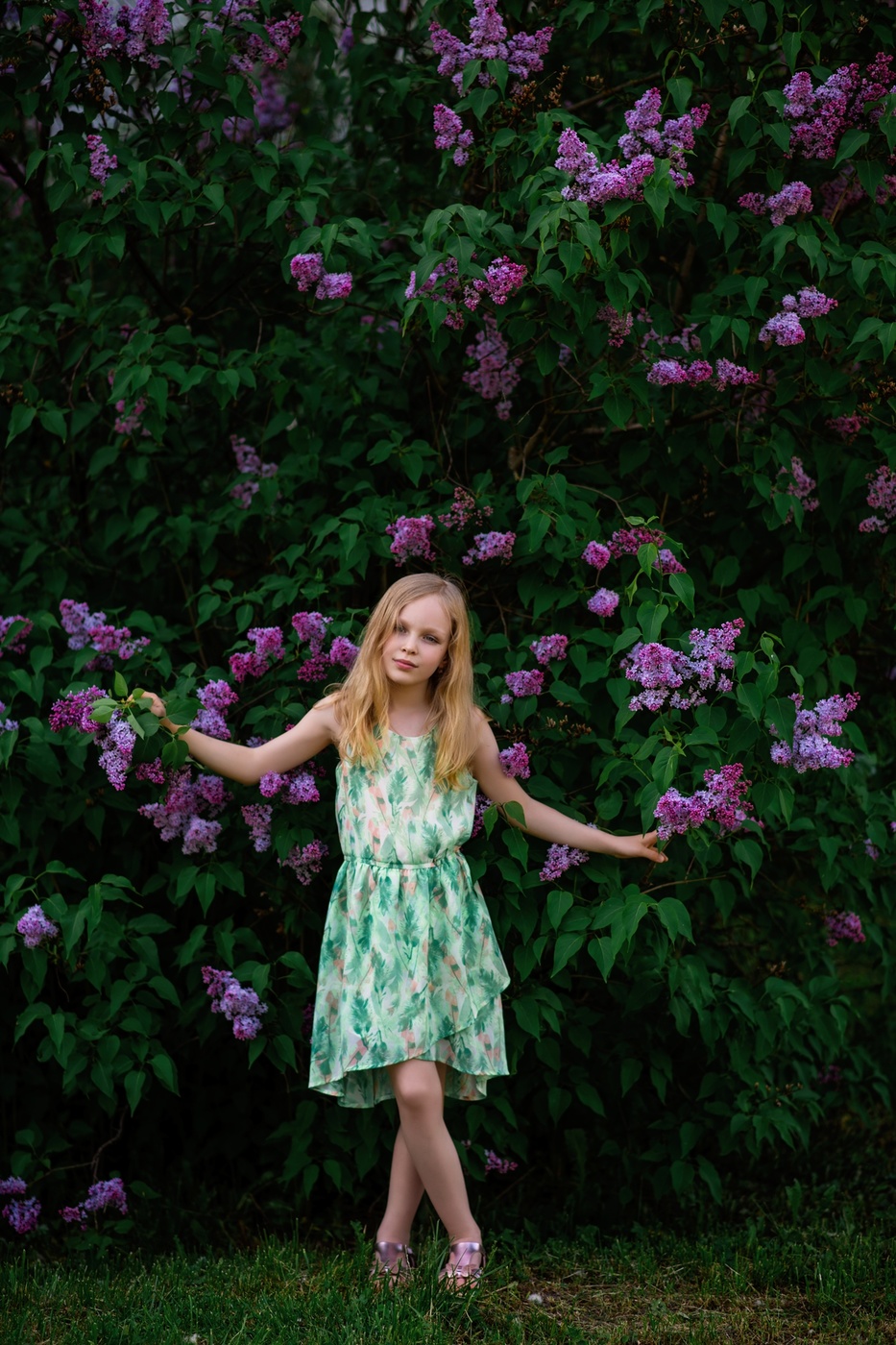 Сиреневый рай