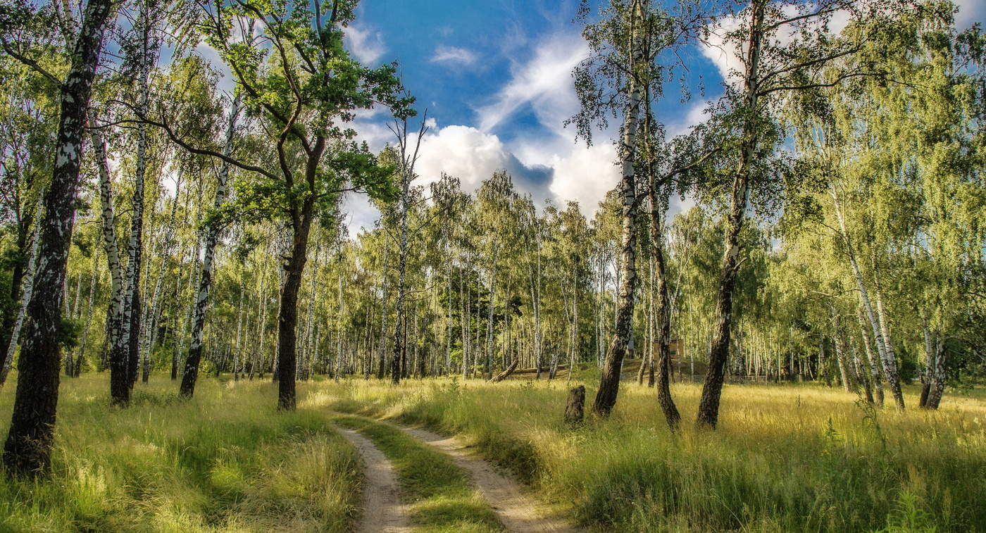 О,летний день! Как ты хорош!..