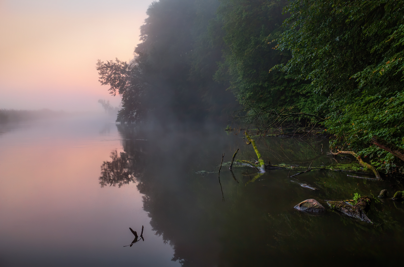 Про зорьку на реке