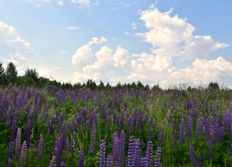 Хоть за облако держись...