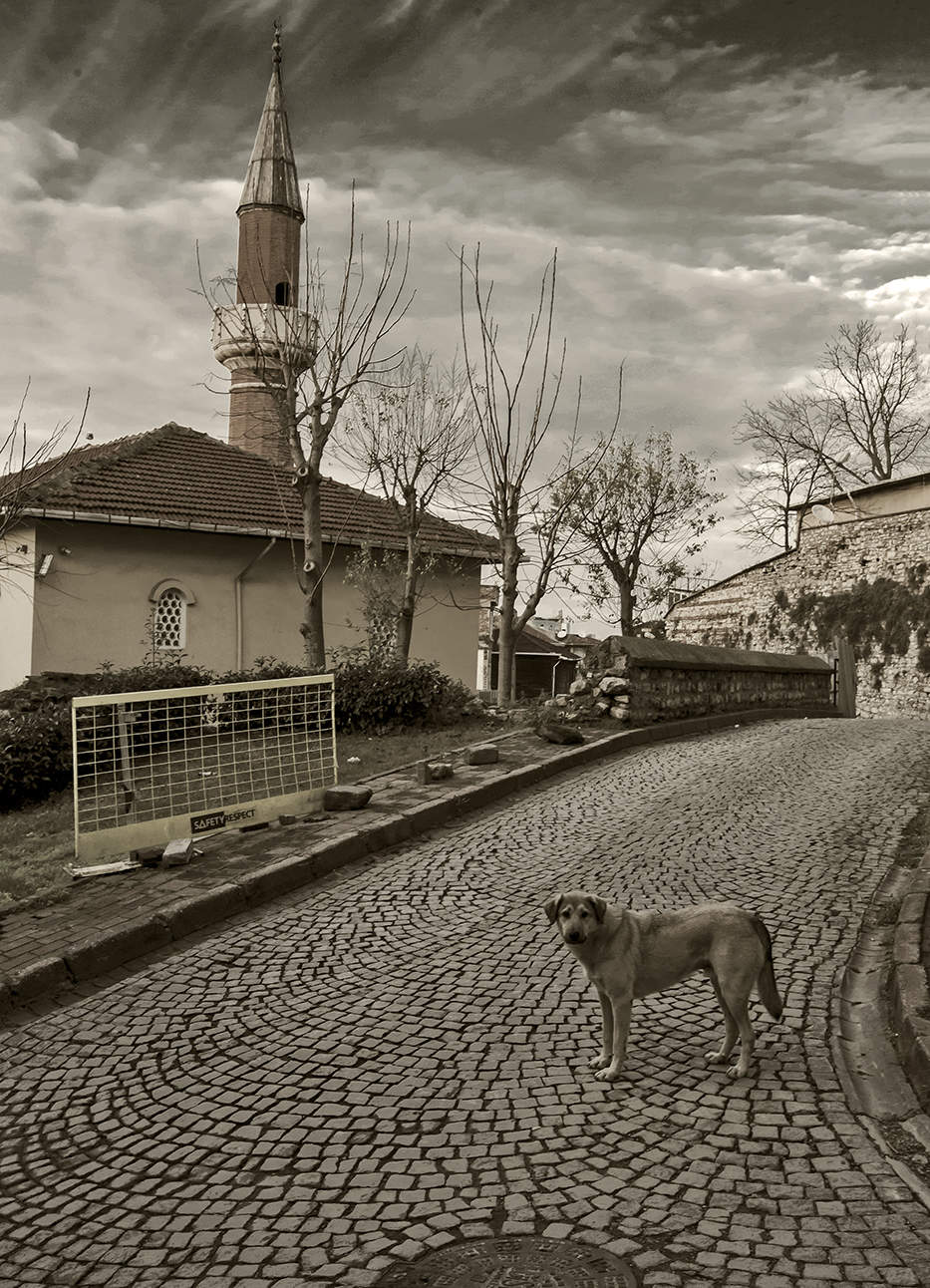 Духовная пища должна быть калорийной