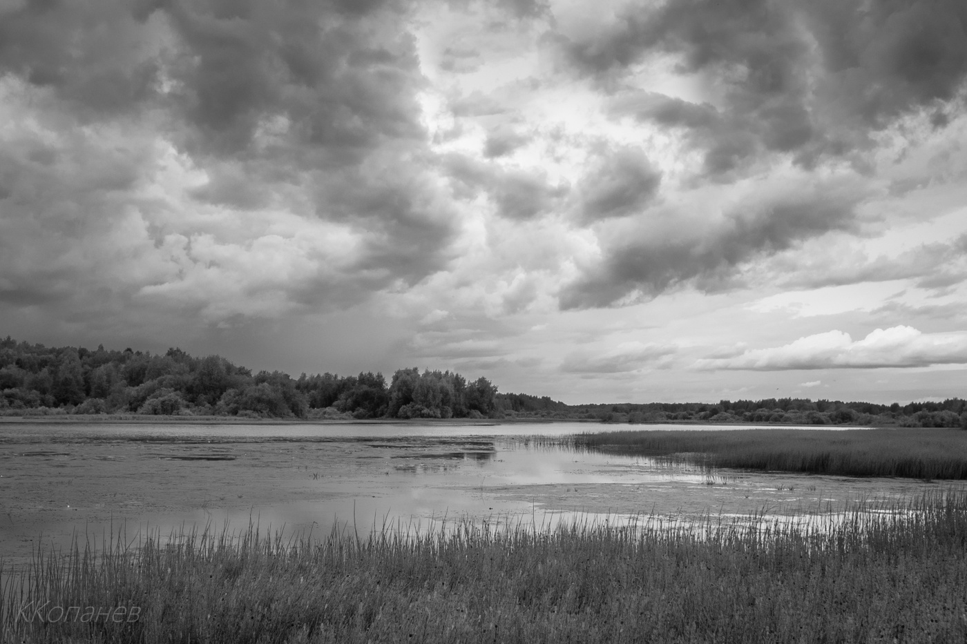 Перед грозой