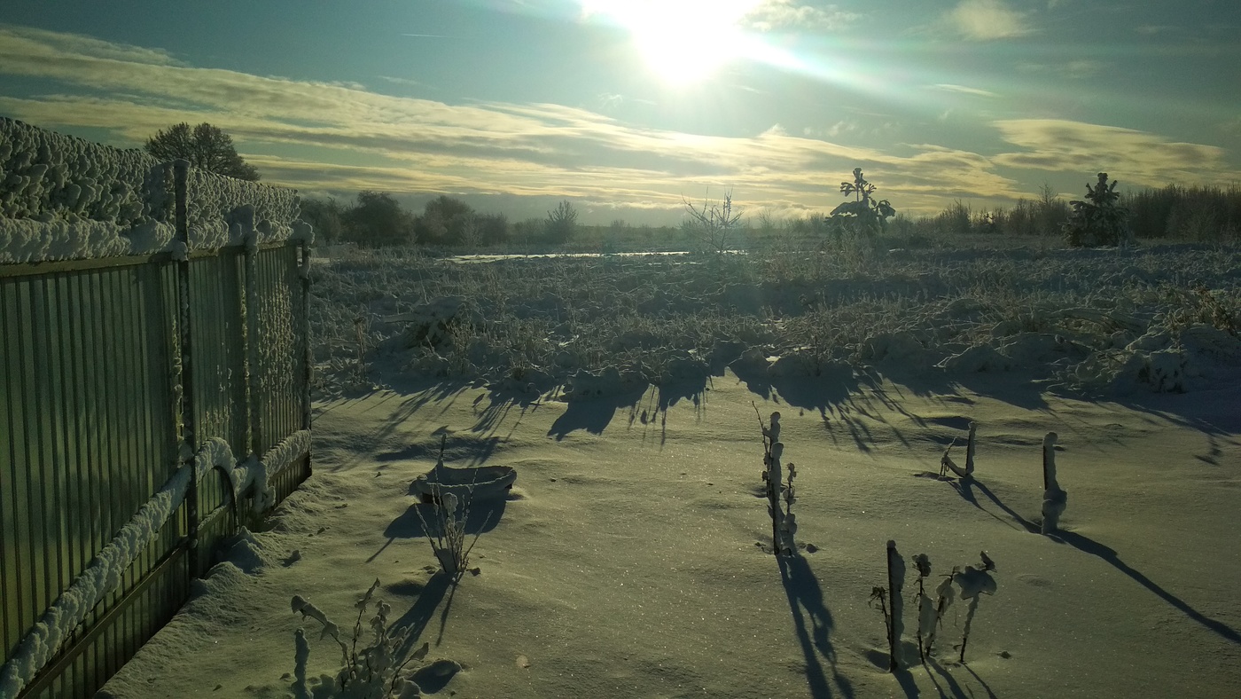 мороз и солнце