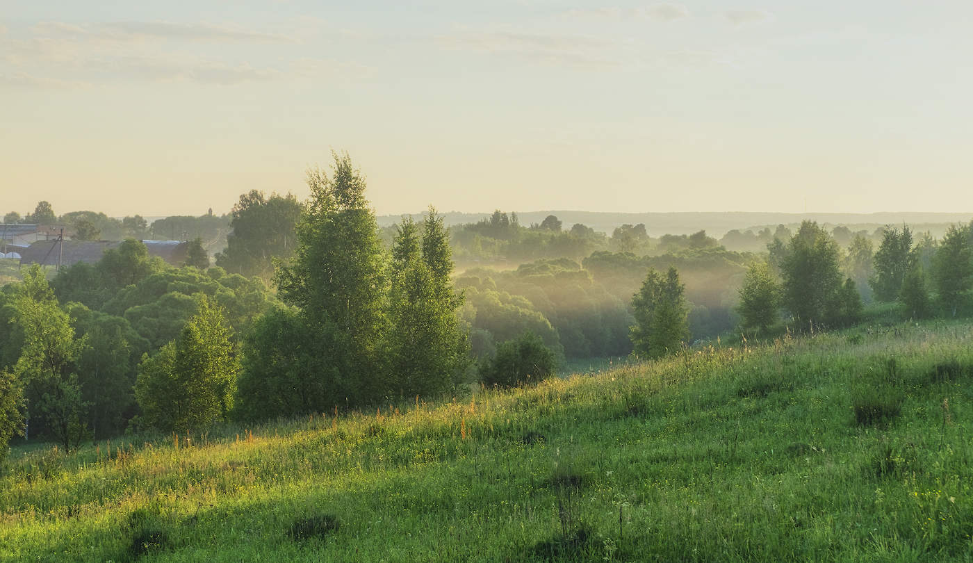 Утро у оврага