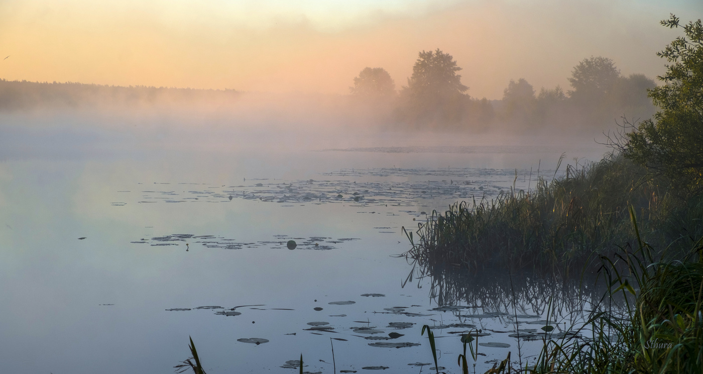 Тихое утро.
