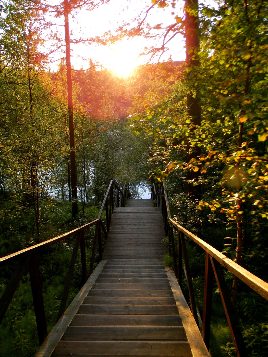 Турбаза на Туломе