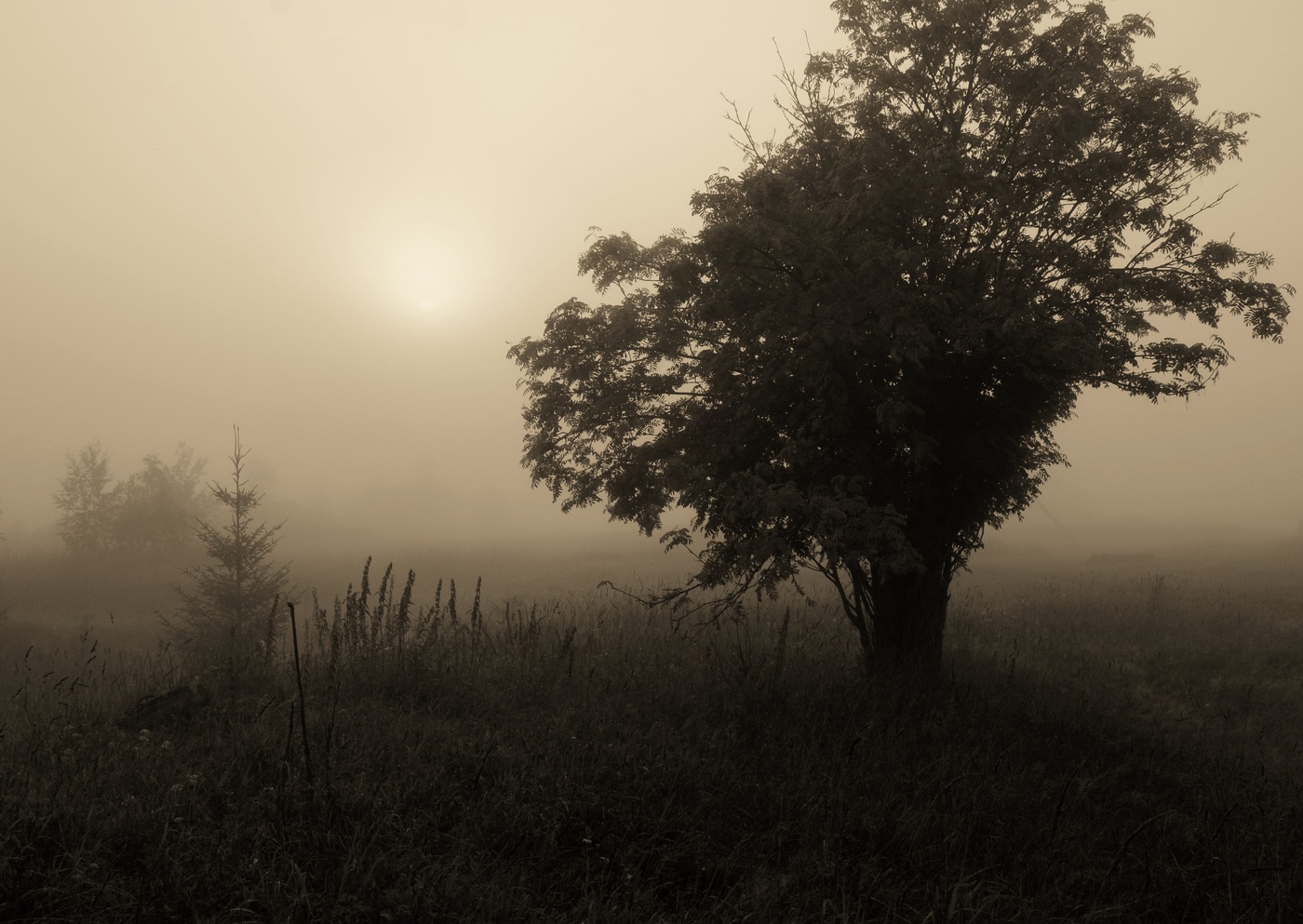 " Солнце, не похожее на солнце - словно лунный диск висит в тумане..."