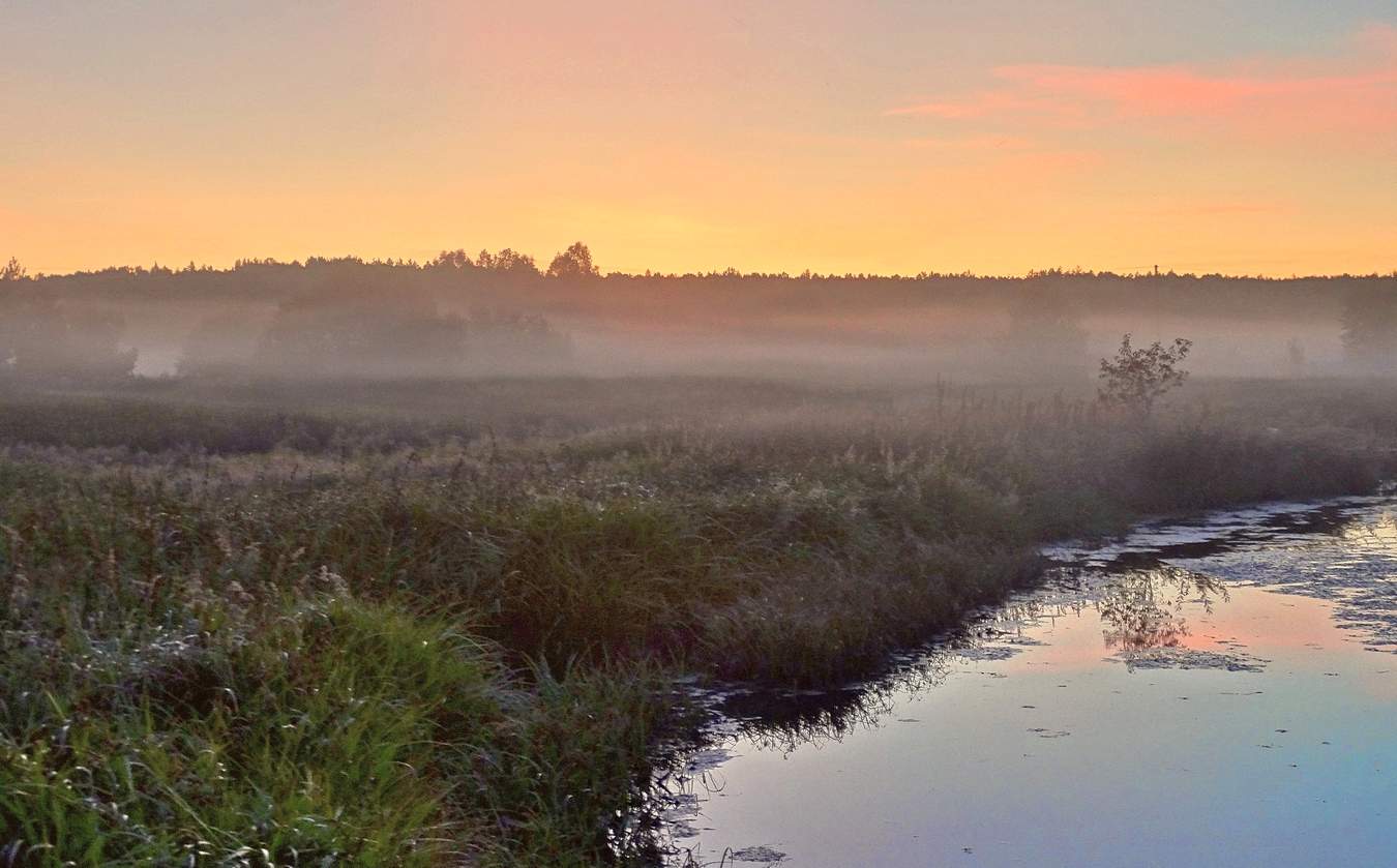 Туманный вечер после дневной жары