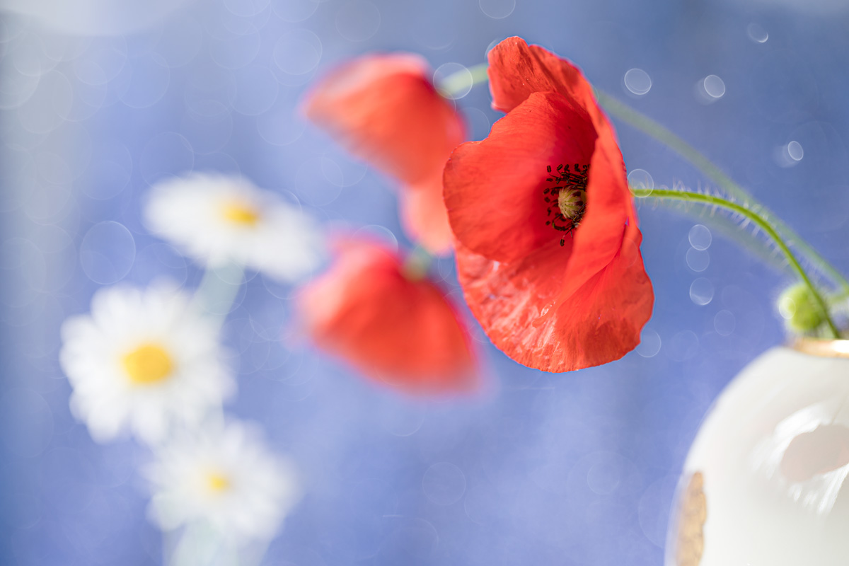 Июльская фантазия...