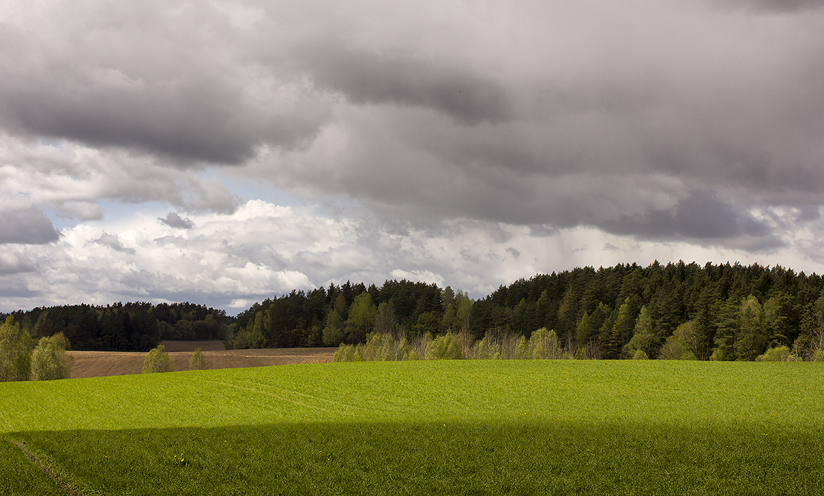 Майский день.