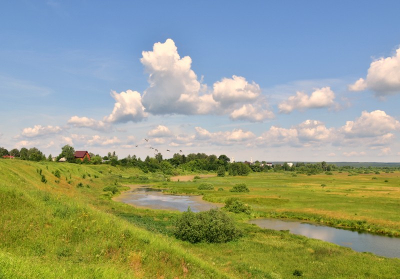 Ох, лето красное! любил бы я тебя…
