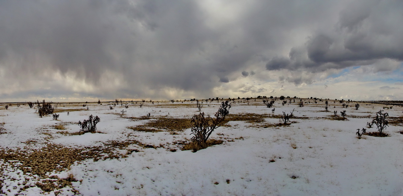Равнинная местность