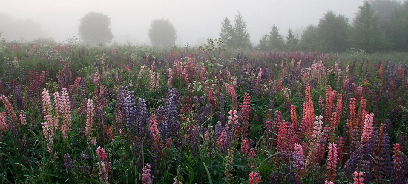 Равнинная местность