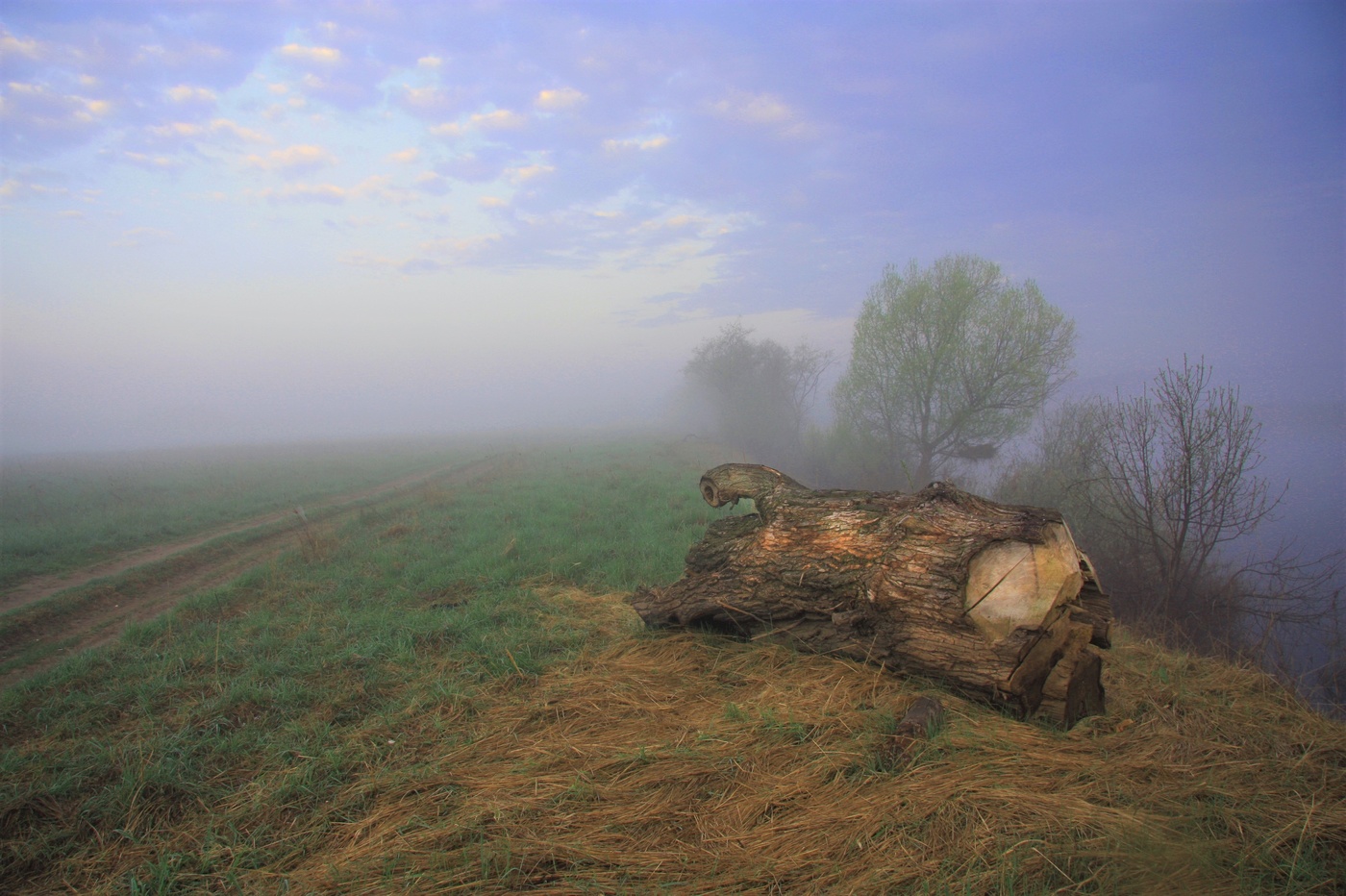 Утренняя прогулка