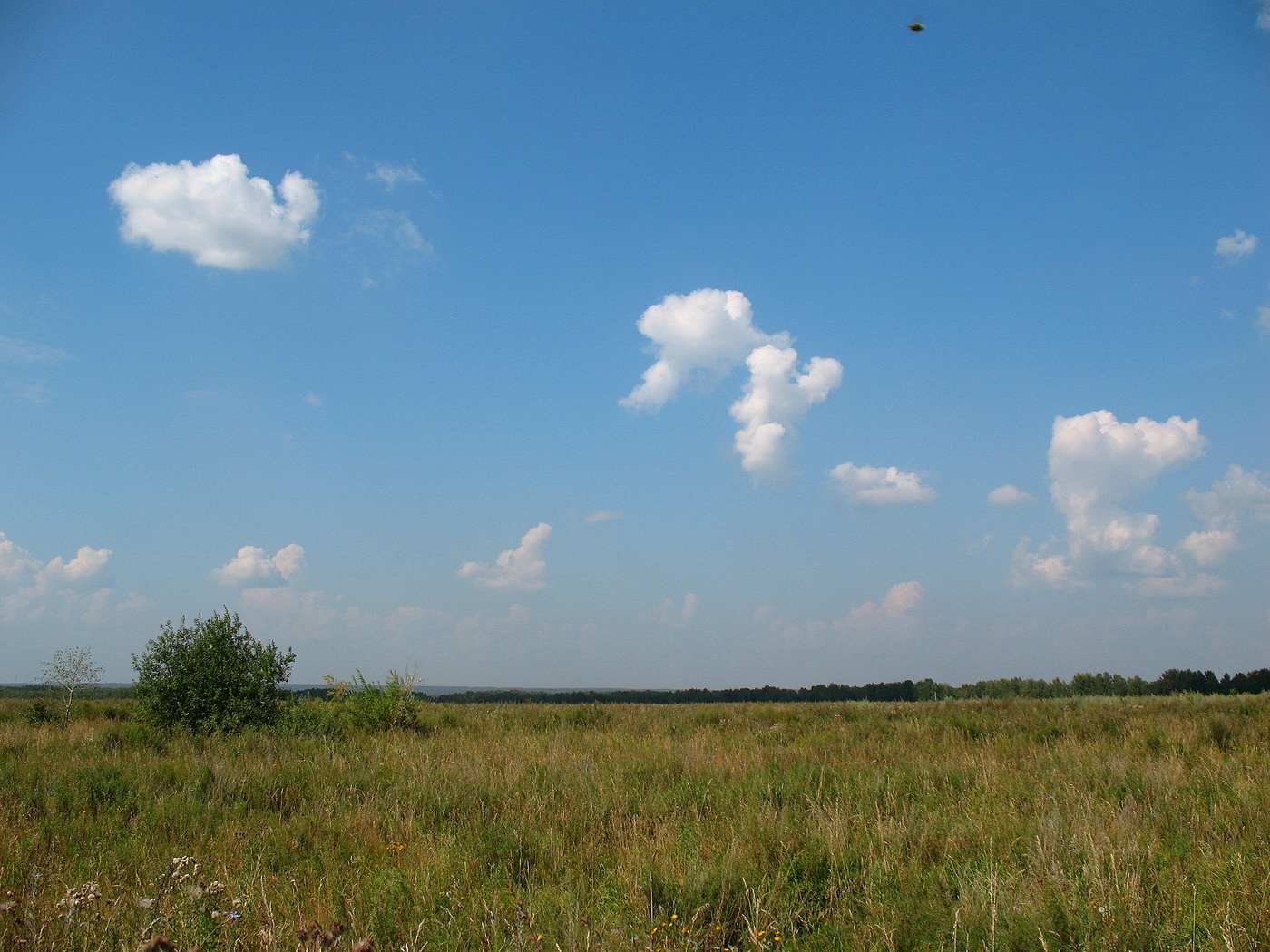 Равнинная местность