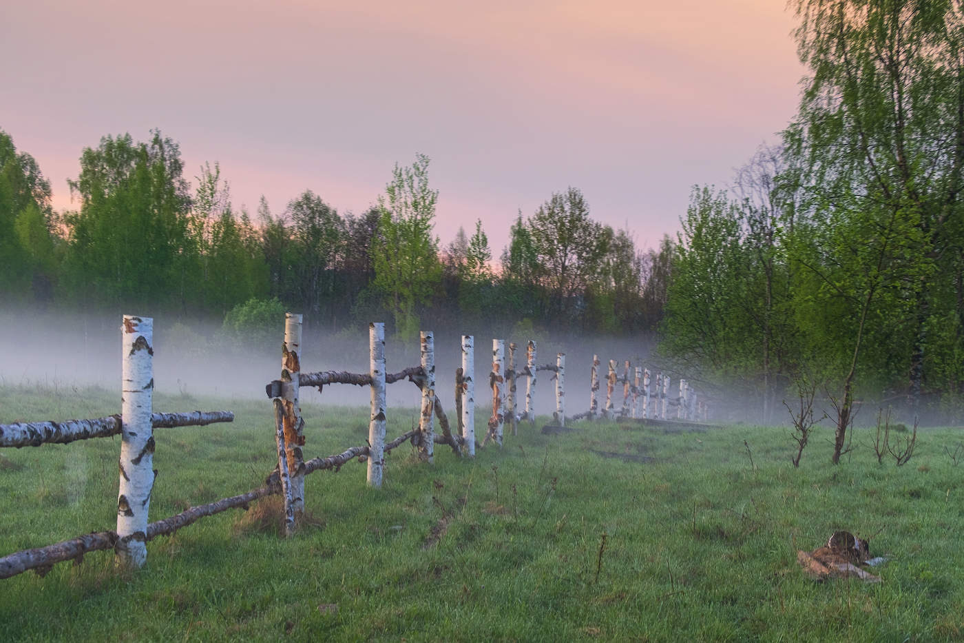 Граница тумана