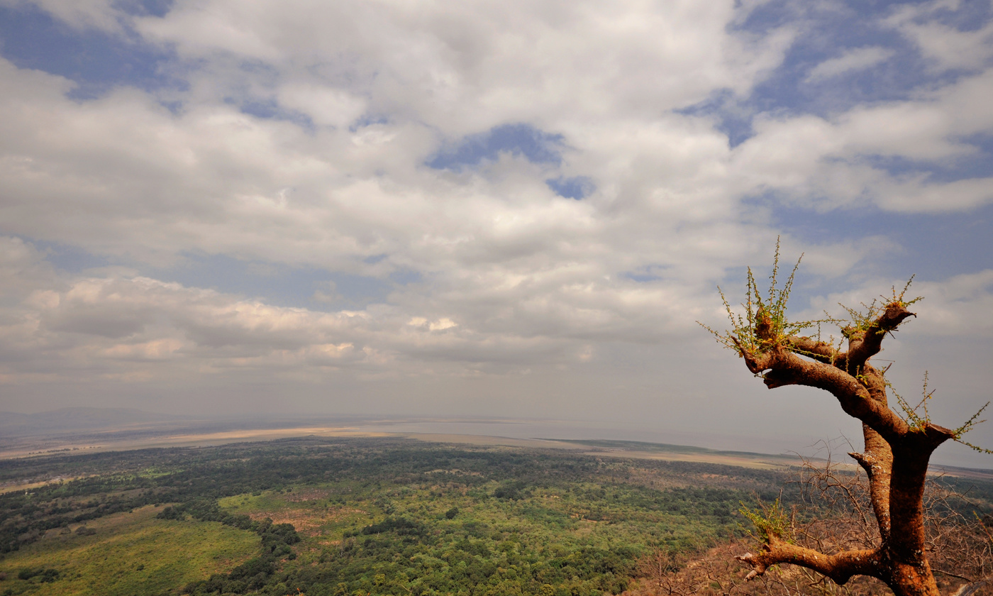Равнинная местность