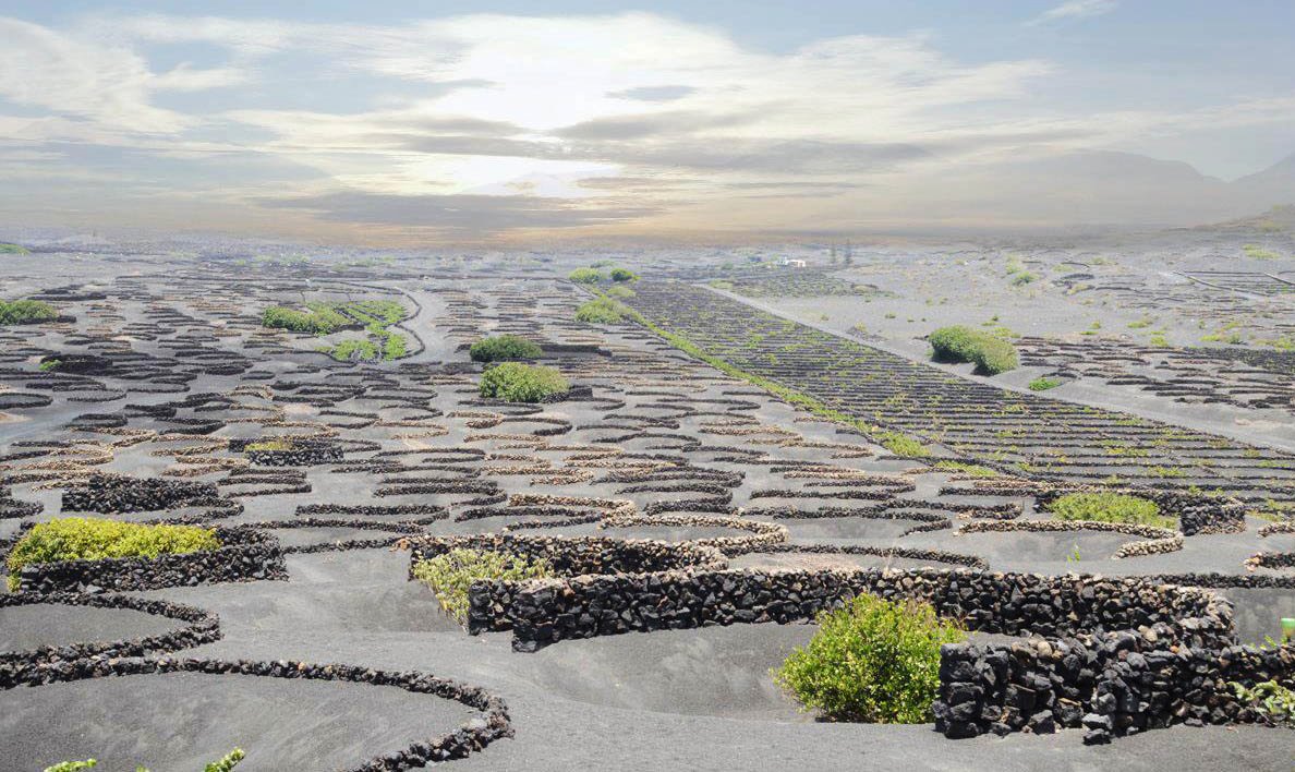 Равнинная местность