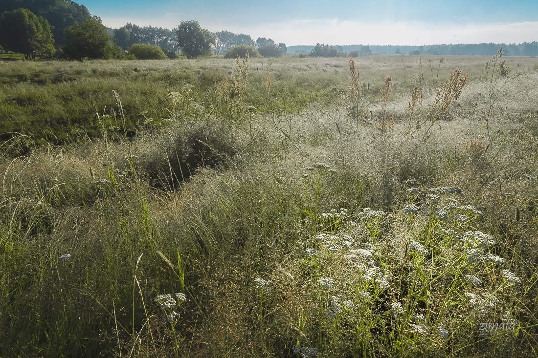 Равнинная местность