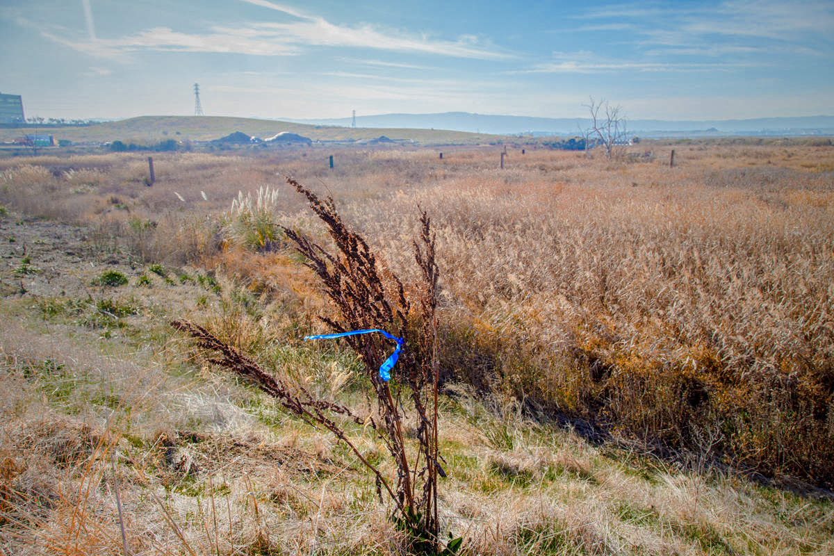 Равнинная местность