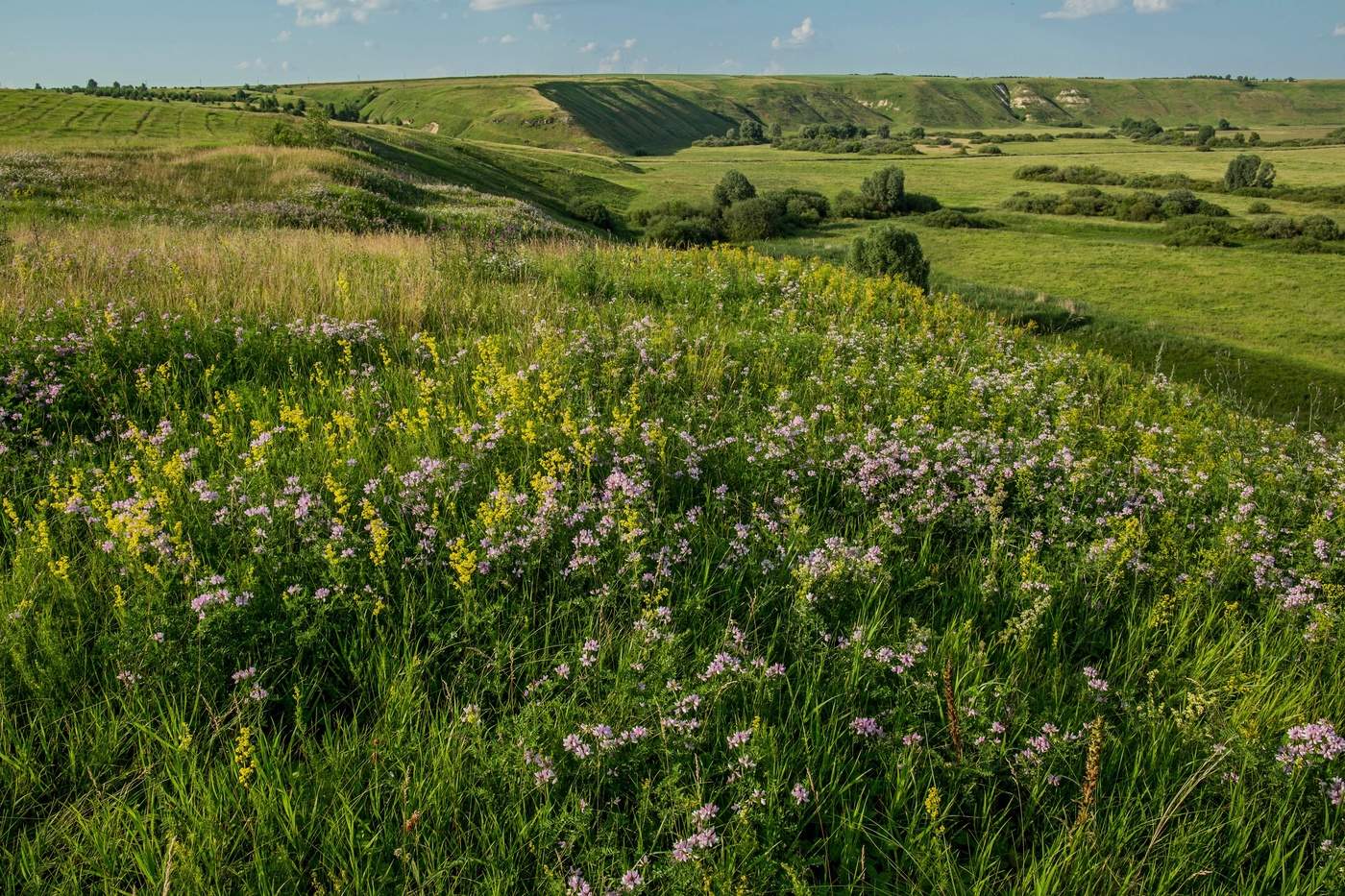 Равнинная местность