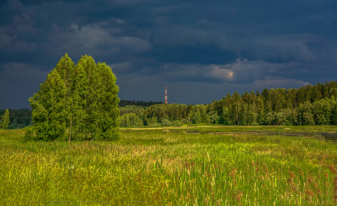 ожидание грозы