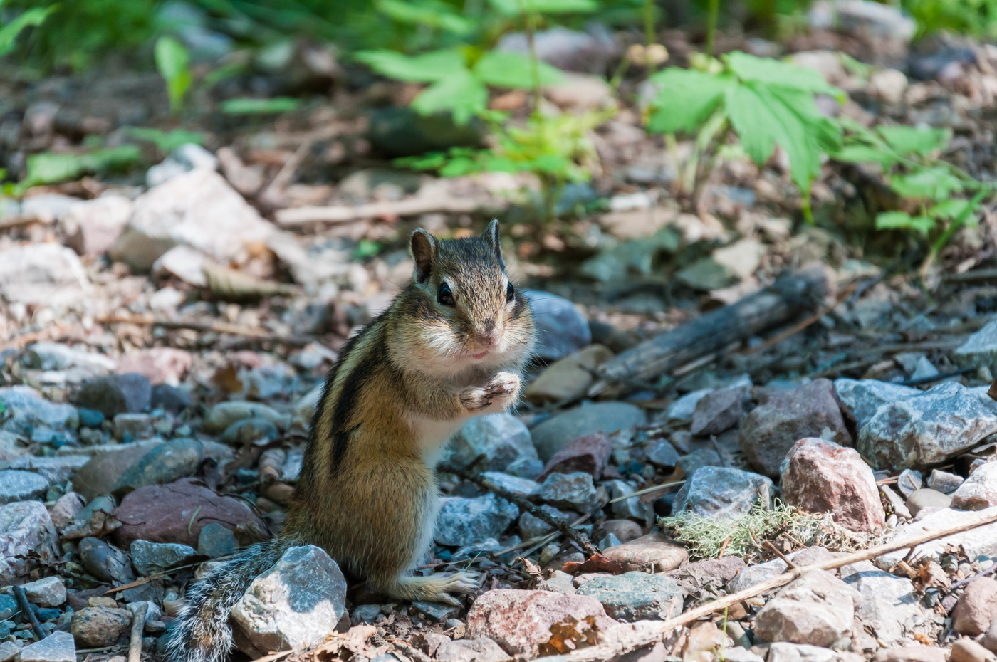 Упс! Застукали.