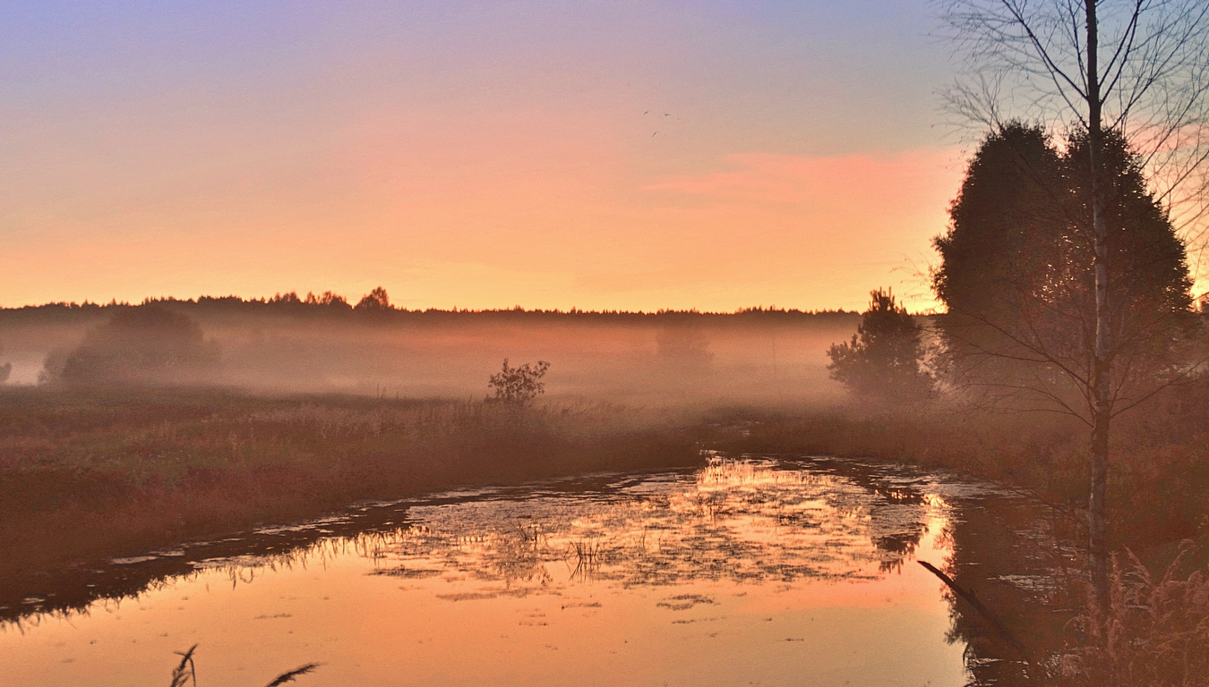 Алая заря в тумане после захода солнца