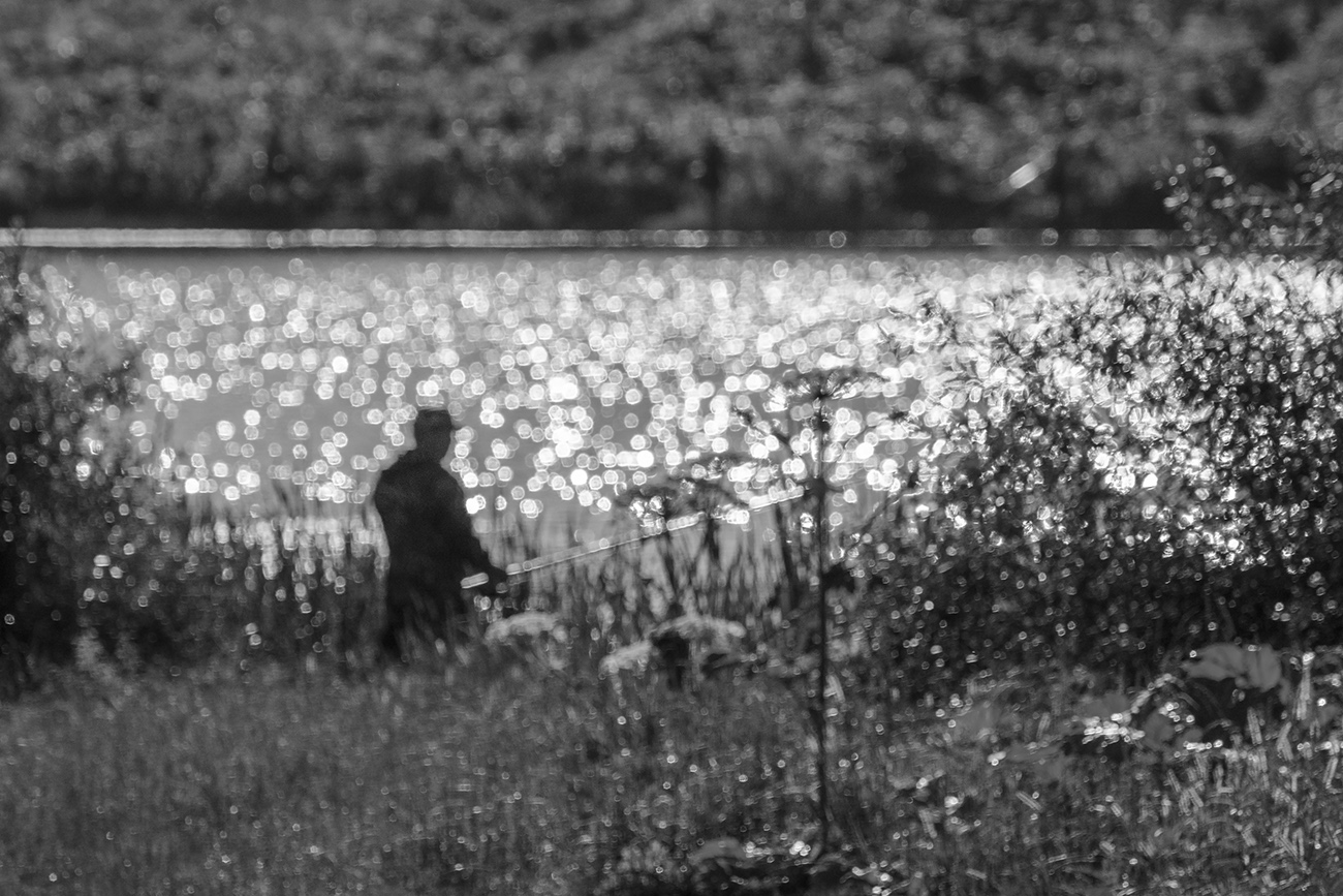 Когда утро шепчет...