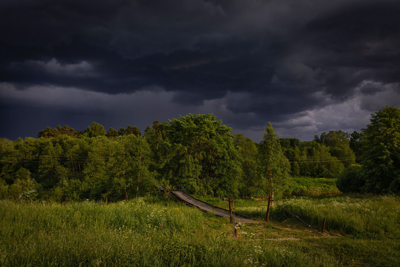 Дорога во тьму
