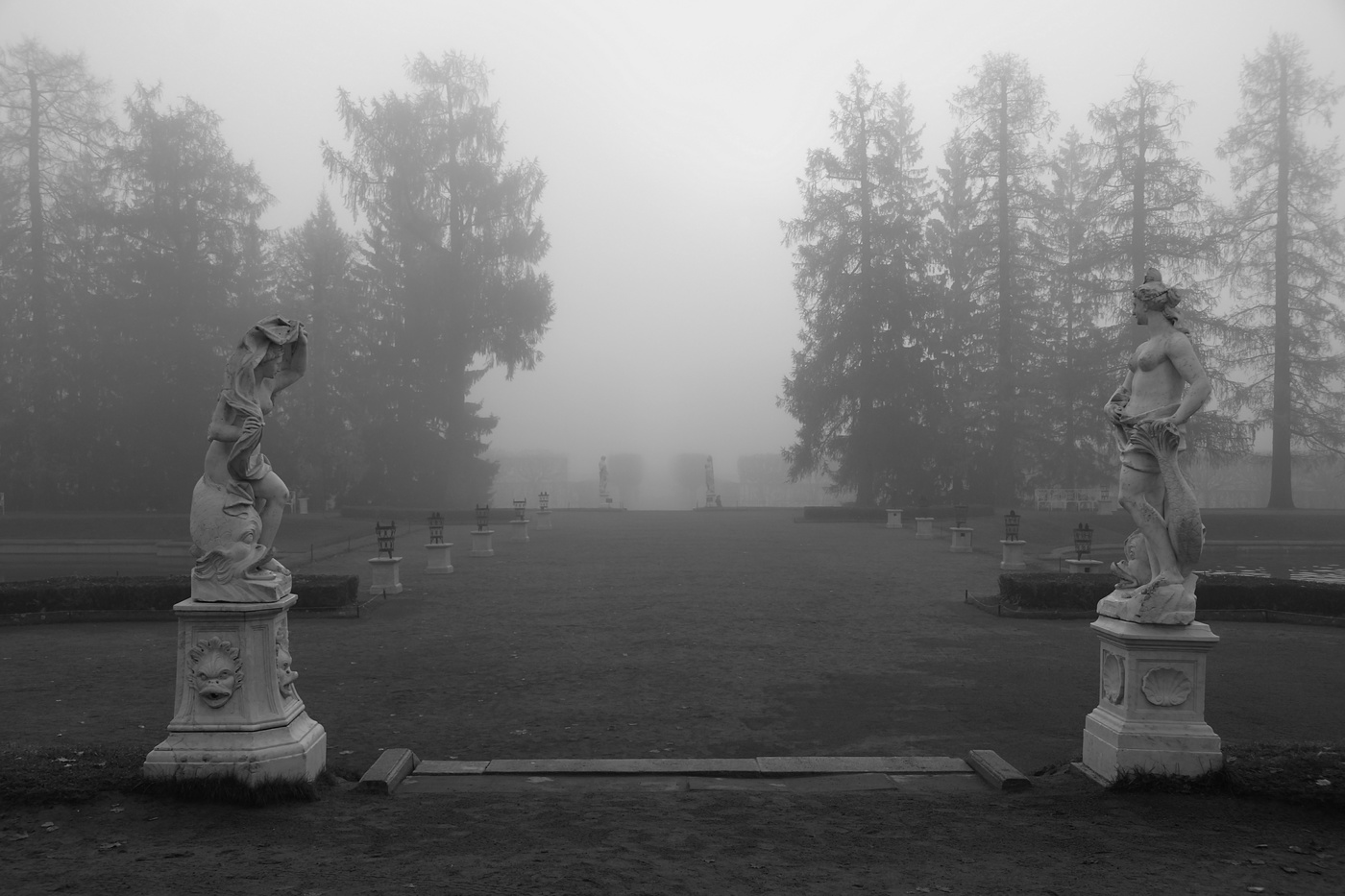 Грустное утро