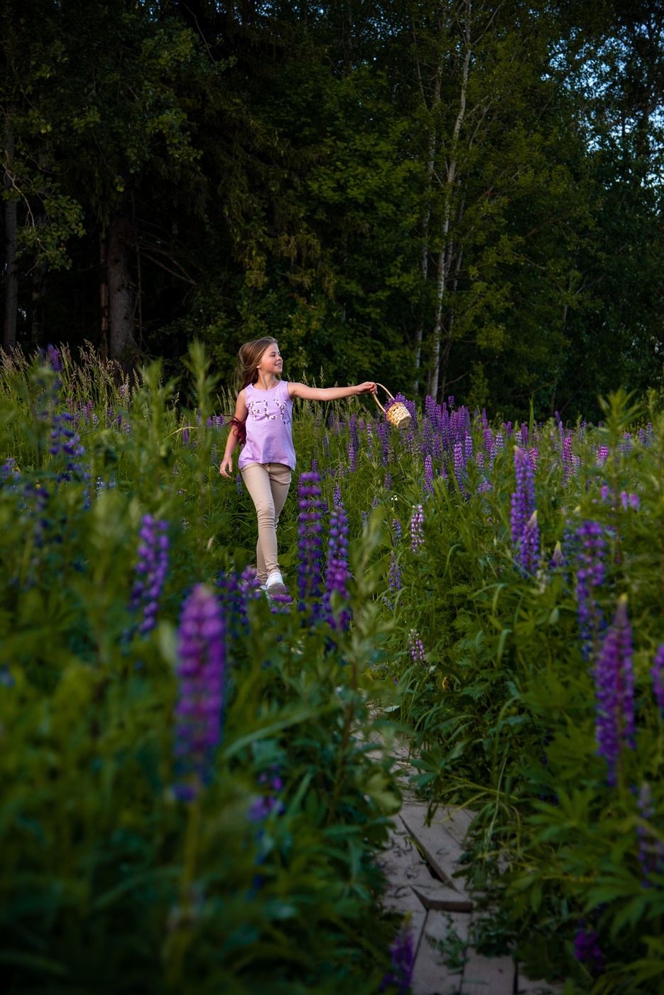 Дорога без препятствий