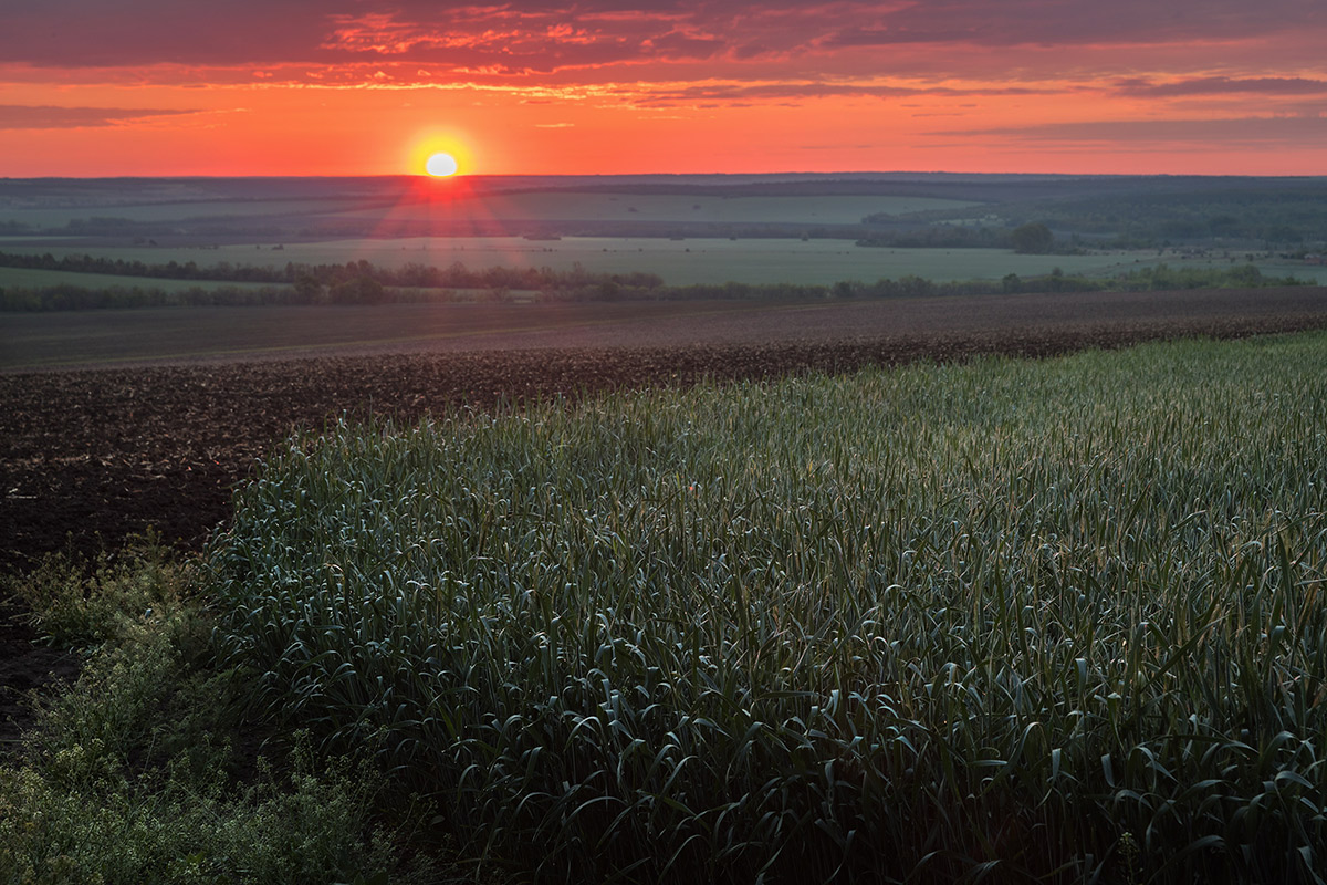 У поля на краю