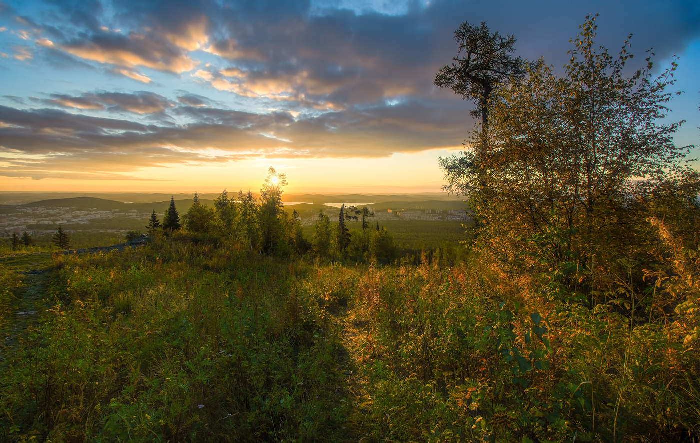 Осеннее утро