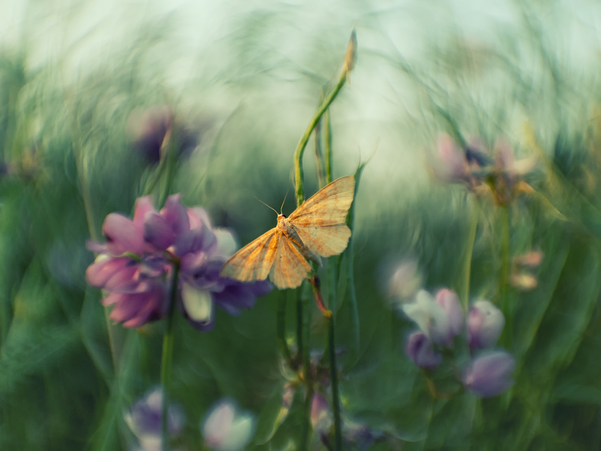 Погружаемся в лето