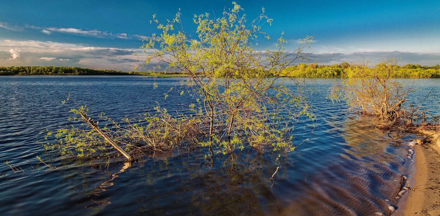 Весенний вечер догорает...