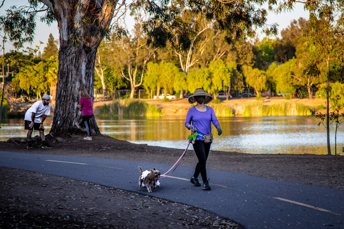 "Дама с собачкой"