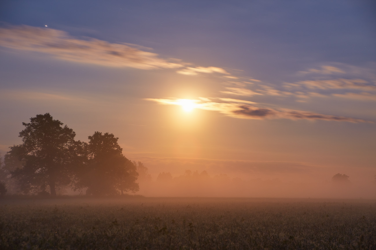 Ночь в Июле