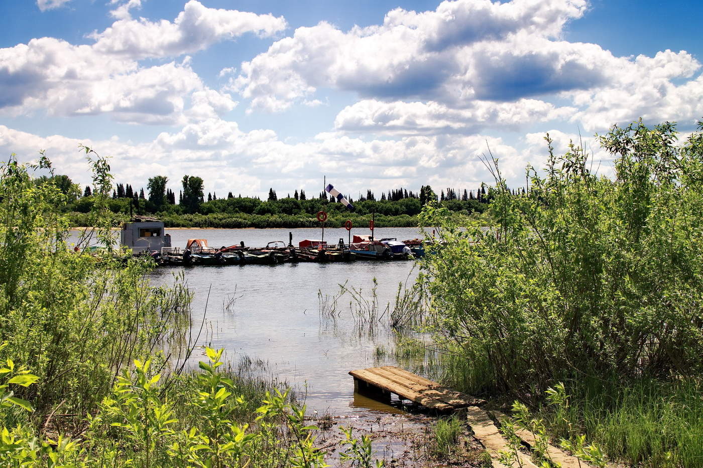 Летний полдень.