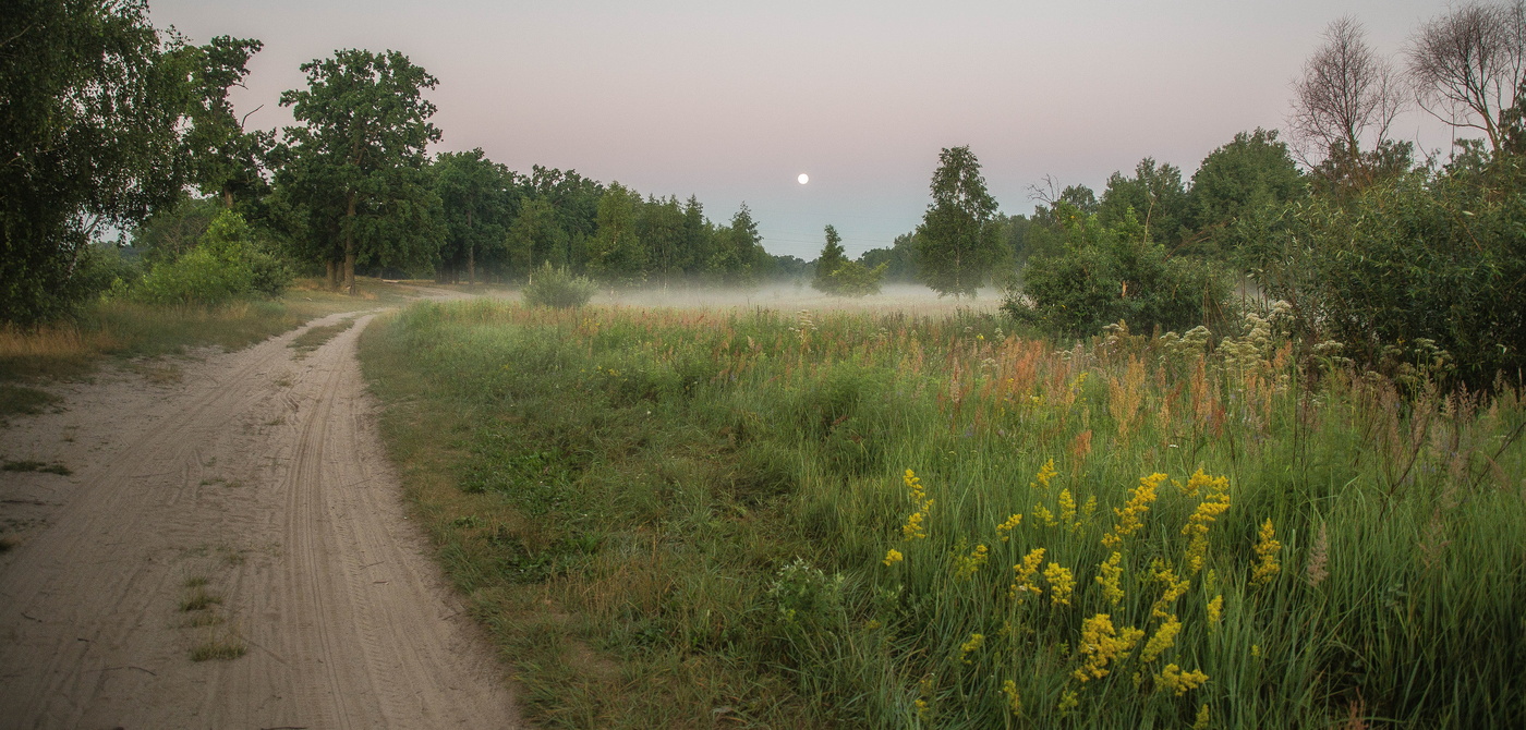 Туман на лес спустился предрассветный...